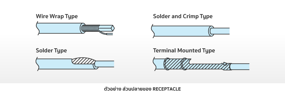 ตัวอย่าง ส่วนปลายของ RECEPTACLE
